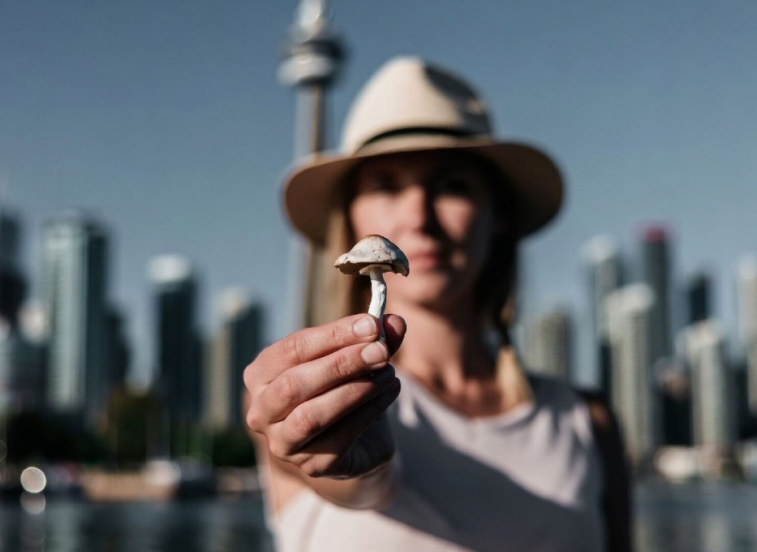 Discreet Online Ordering: Magic Mushrooms with Toronto Pickup or Delivery
