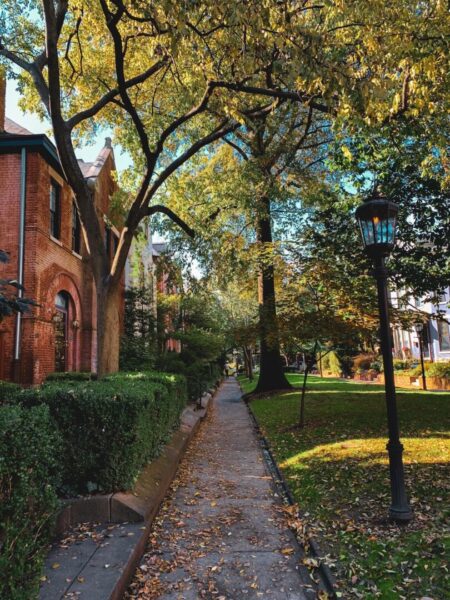 Belgravia Court in Old Louisville shows a leafy pathway and small Victorian homes lining the path. There are fallen leaves on the path. 