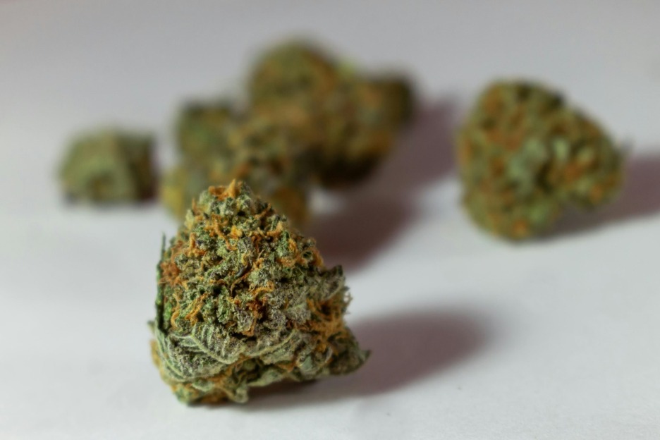 Several green and orange cannabis buds on a white surface, one in sharp focus in the foreground
