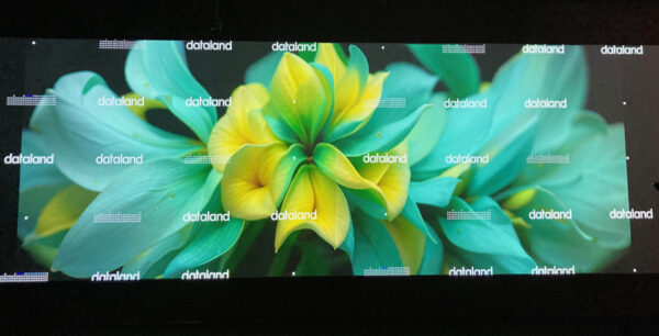 Dataland