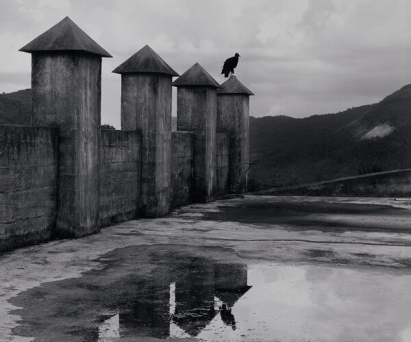 Flor Garduno (1957- ), La espera/The Waiting Time, 1980, gelatin silver print; Getty Museum, gift of Daniel Greenberg and Susan Steinhauser; © Flor Garduno. Mexican American and Mexican photography.