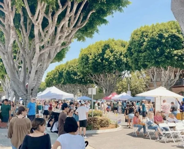 Inaugural OC Book Fair